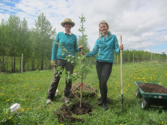 July 11, 2014: Springtime In Orchard & Hopyard