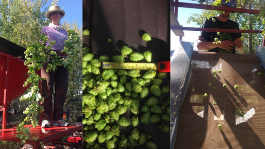 September 22, 2014: Numbers: A Way of Knowing